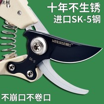German imported fruit tree pruning tree rough branch flower pruning cut potted sk5 special labor-saving flower scissors Japan