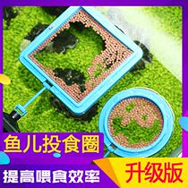 Aquarium small fish tank feeding ring pet turtle convenient feeding device fixed feeding ring