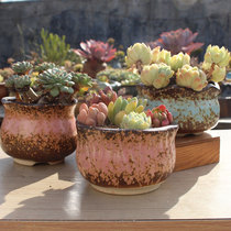 New retro coarse pottery succulent flower pot small creative pottery pot meat plant pot old ceramic flower pot handmade pot