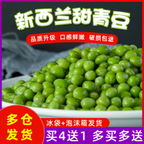  Fresh frozen Sweet Green Beans 1kg New Zealand Sweet bean kernels Sweet peas Peas Salad Fried rice Side dishes Vegetables