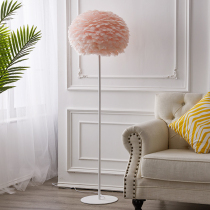 Feather floor lamp living room warm fashion simple Nordic light luxury ins girls Net red creative personality decorative lamp