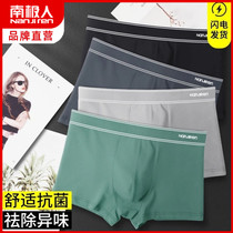 (Antarctic person) Underpants men shorts pure cotton quality Antibacterial comfort Comfortable Breathable for Waist Flat Corner Pants in Four Seasons