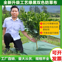 Anti-grass cloth green black two-color Orchard anti-grass ground cloth fruit tree straw covering agricultural plastic film degradable ecological weeding cloth