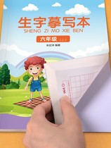 Grade 6 Next book Previous book Chinese synchronous copybook Block letter department editor teaching version Stroke order practice book for primary school students Block letter Shu Sheng word practice post Pen stroke order Red book Writing class practice