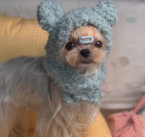  Pet hat Winter dog cat cat rabbit ear Teddy headdress Small dog than bear warm headgear Cat cute