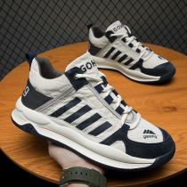 Men's shoes 2022 new autumn and winter casual sneakers men's torre running Forrest Gump tide shoes Joker plus velvet cotton shoes