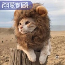 Cat Hat Funny Pet Birthday Cat Headgear Dog Cute Little Dog Kitty Teddy Fadou Helmet Headgear