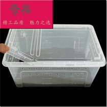 Feeding box Feeding Box Feeding Box Feeding Box Feeding box Feeding box Feeding box Feeding box Feeding box Feeding box Feeding box Feeding box Feeding box Feeding box Feeding box Feeding box Feeding box Feeding box Feeding box Feeding box Feeding box