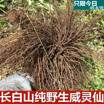 Clematis Northeast Wild Chinese Herbal Medicine 500g Chinese Herbal Medicine Clematis Root Clematis Mulberry Real Seed Chinese Herbal Medicine