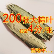 Zong leaves cotyledons fresh extra-large rice dumplings wild dry and wet new bamboo leaves Brown leaves for home use