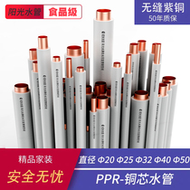 Imported ppr hot water pipe fittings 6 Points 25 Villa home improvement water pipe 4 points 20 copper core pipe hot melt pipe