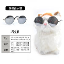 Photo Supplies Dogs Dress Cool Personality Small And Medium Dog Kitty Pets Sunglasses Kitty to blame for the spectacle Leisure