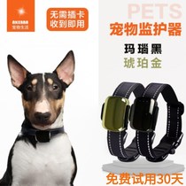 Dog locator cat anti-walking lost artifact finder dog tracking smart collar pet gps follower