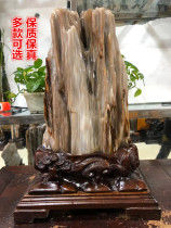 Special price Burmese wood chemical jade natural tree fossil ice seed silicon wood raw stone living room bookhouse chite tree-shaped jade pendulum piece