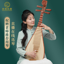 Lehai Pipa musical instrument Premium Austenitic sandalwood Xiangyun headdress Professional performance grade pipa DJ14-AA