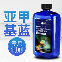Methylene blue maintenance and prevention of ornamental fish white spot disease Koi blood parrot water mold special fish medicine fish tank aquarium