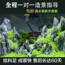 Fish tank landscaping decoration package Aquarium real water grass Qinglong Stone Pine grass mud Shenmu landscaping stone