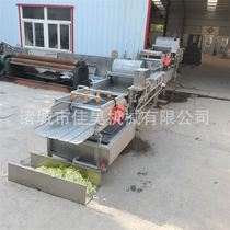 Large Vegetable Washing Machine Large Automatic Stainless Steel Vegetable Washing Machine Multifunctional Vortex Vegetable Washing Machine