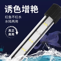 Aquarium supplies Daquan lamp Colorful led aquarium lamp Full spectrum lighting Aquarium special brightening waterproof lamp