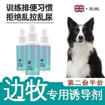 Side pastoral special training to guide small dogs positioning inducers to relieve themselves such as toilets chaotic urinals and defecation