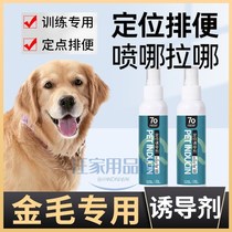 Golden Hair Special Dog Inducing Agent Bowels On Toilet Guidance Liquid Messy Urine God Instrumental Dog Urine Pet Indoor