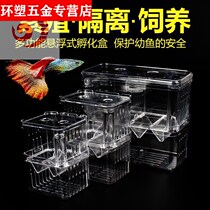 Small fish delivery room Non-acrylic incubator box Fry incubator production box Guppy breeding box isolation box protection