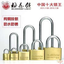 Plum Blossom brand copper padlock luggage outdoor home door waterproof anti-rust padlock 20 25 35 45 55mm small copper lock