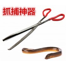 Eel steel pick-up clip Huang Shan Loach clip stainless steel eel pliers multifunctional beige eel clip scissors