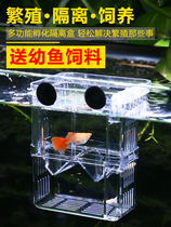 Fish tank isolation box Guppy breeding box Zebra small fish incubator Phoenix tail juveniles suspended acrylic spawning room