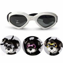 Pet glasses Teddy sunglasses dog golden retriever small dog windproof mirror funny cat fight sun glasses glasses