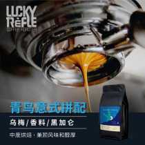 Four-leaf clover bluebird] Italian concentrate with coffee beans medium roasted balanced flavor 454g 1lb