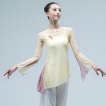 Classical dance National modern body rhyme dance performance clothing Chinese dance practice clothing color matching top Female art examination yarn clothing