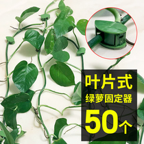 Green Luo holder climbing wall artifact Green climbing clip no trace card does not hurt Wall adhesive hook strong sticky winding buckle