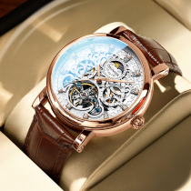 Danma Swiss Watch Automatic Mens Mechanical Watch Diamond Hollow Top Ten Trends Leather Mens Watch Brand