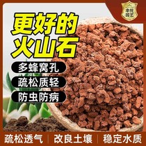 High-quality volcanic rocks fleshy orchids special soil mixing granular nutrient soil pavement bottom aquarium volcanic rocks