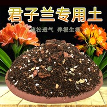 Special soil for clivia soil breathable household fertilizer orchid plant special nutrient soil for clivia