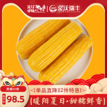 Jinwor Ruifeng Yellow corn Fresh sweet waxy corn cob Sticky vacuum breakfast Non-GMO whole grains 32 yellow