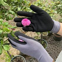 Labor-protection glove Ting sunny foaming and gum gardening gloves work anti-slip and abrasion resistant nylon hanging glue protective gloves