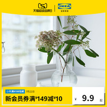 IKEA IKEA PADRAG Pudrag Vase Transparent Glass Hydroponic Vase