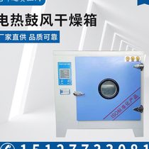 High quality 101 series constant temperature electric blast drying oven industrial oven laboratory car headlight hub oven