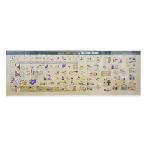 Montessori AMI0-3-year-old psychological development dynamics timeline