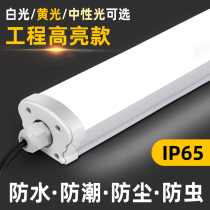 LED strip integrated waterproof strip three anti-cold storage lamp low voltage 24V220V workshop factory super bright fluorescent lamp