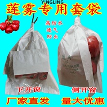 Lotus mist bagging special bag under the window visible side window translucent bag Yangpu tomato waterproof and insect-proof