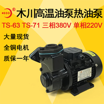 Muchuan high temperature oil pump TS-63 71 80 100 mold temperature oil pump heat transfer oil pump hot water circulating pump TSR90