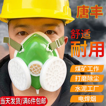 Tang Feng 301 gas mask spray paint special smoke-proof dust chemical gas men and women mask breathable activated carbon