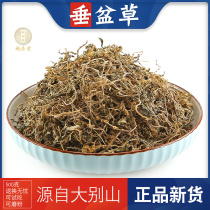 Vertical pot grass Chinese herbal medicine 500g grams authentic medicinal edible vertical pot grass dry vertical pot grass non-wild hammer pot grass