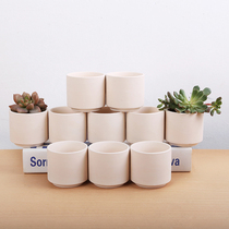 Vegetarian embryo multi-meaty flowerpot ceramics can be artificially painted hand-painted pattern breathable vegetarian roast multi-meaty green plant potted flowerpot