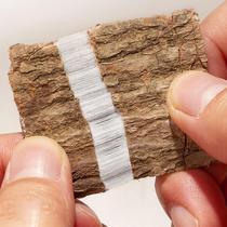 Niu Dazhong Morinda Morinda officinalis Chinese herbal medicine fresh 500g dry powder bark root soak wine