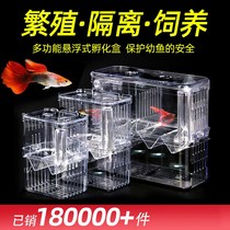 Fish tank isolation box guppy fish breeding box God Mother Fish young fry acrylic hatching floating super large