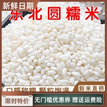 New Northeast Wuchang round glutinous rice 5kg Heilongjiang sticky rice new glutinous rice white glutinous rice rice dumplings